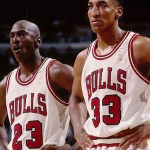 Meet your Posher, Joey